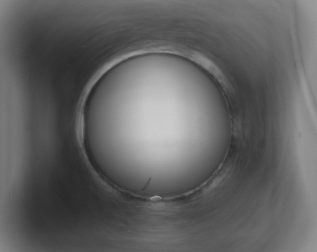 X0000101671520200807171325