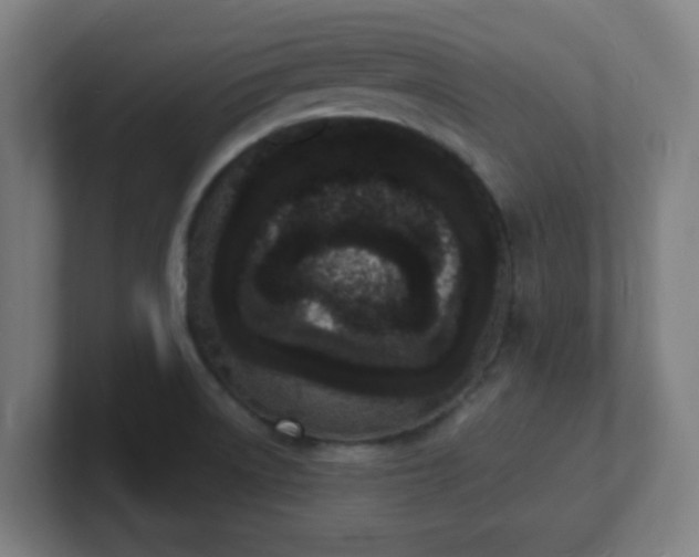 X0000101671522200807171325
