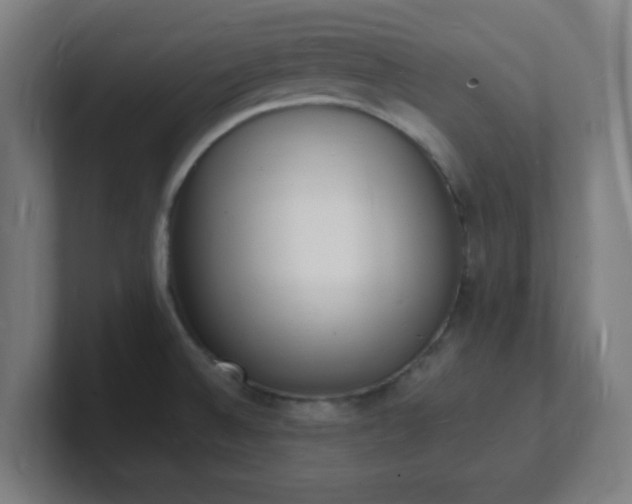 X0000101671524200807171325