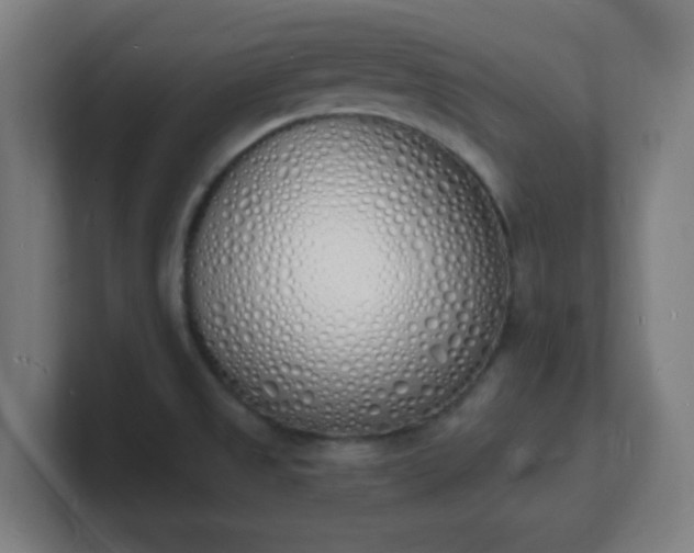 X0000101671525200807171325