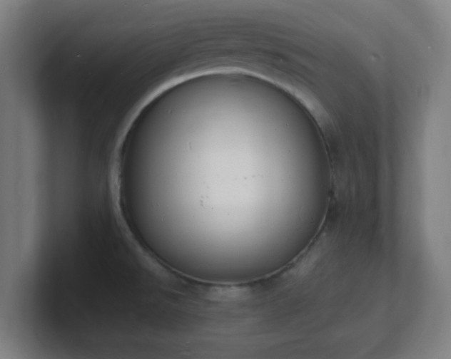 X0000101671526200807171325