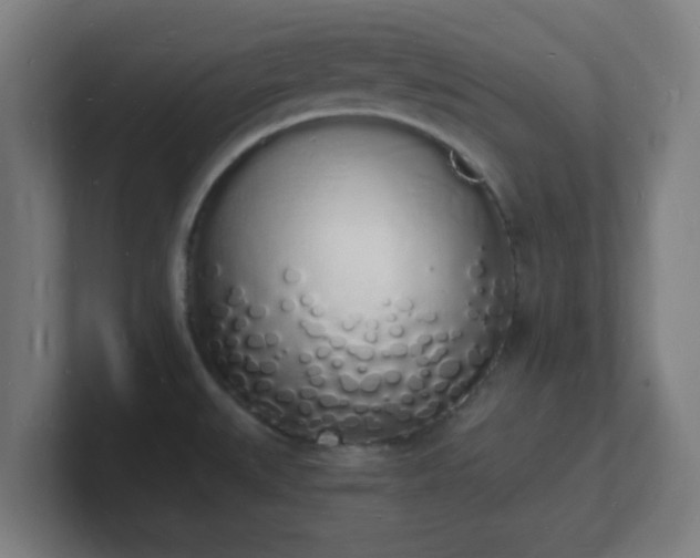 X0000101671527200807171325