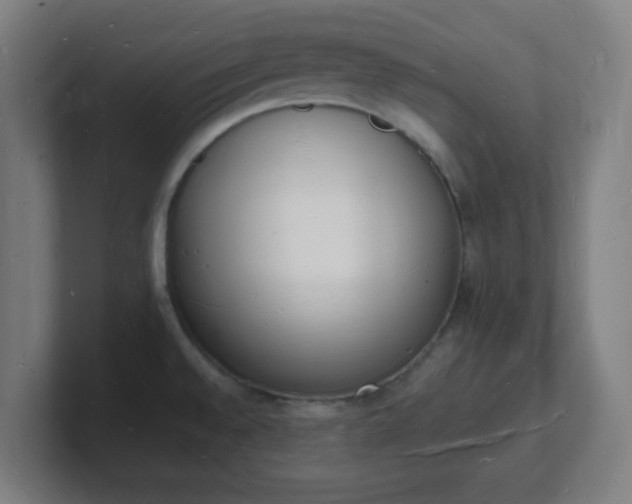 X0000101671528200807171325