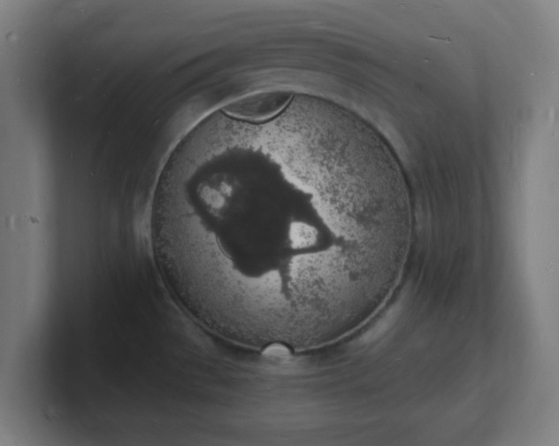 X0000101671529200807171325