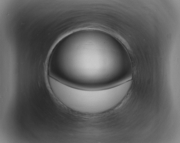 X0000101671530200807171325