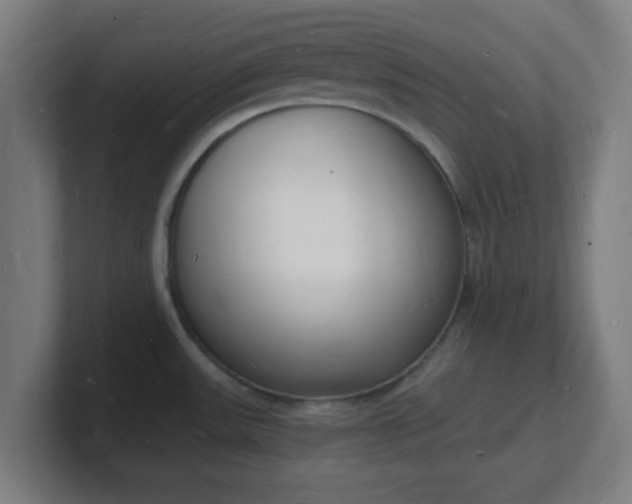 X0000101671531200807171325