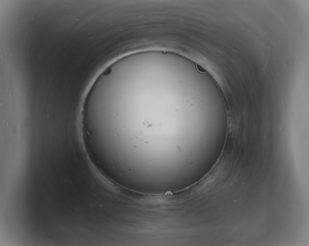 X0000101671532200807171325