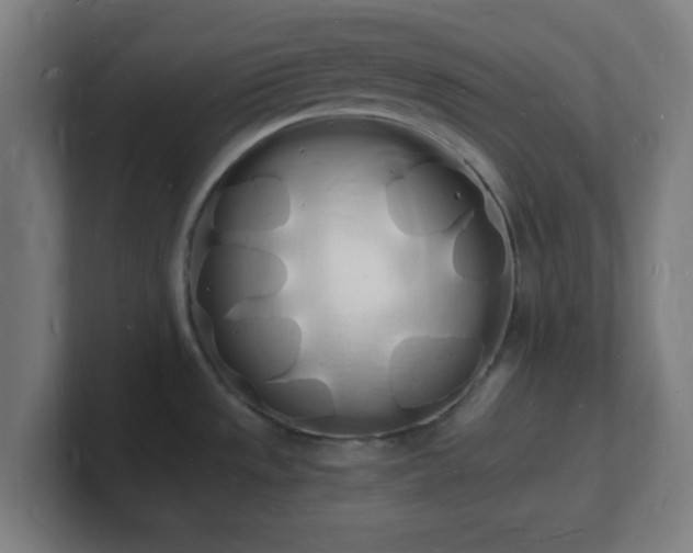 X0000101671533200807171325