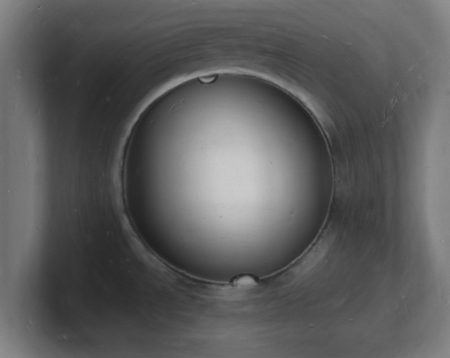 X0000101671534200807171325