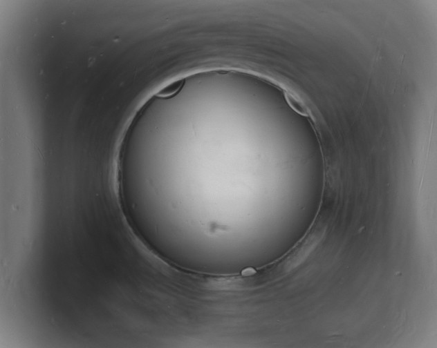 X0000101671535200807171325