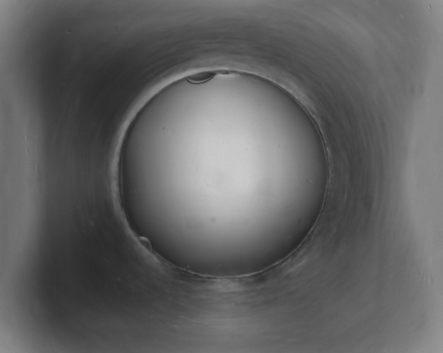 X0000101671536200807171325