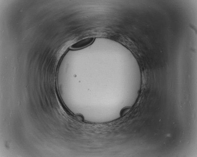 X0000101670003200807241451