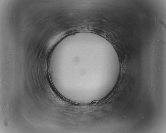X0000101670005200807241451