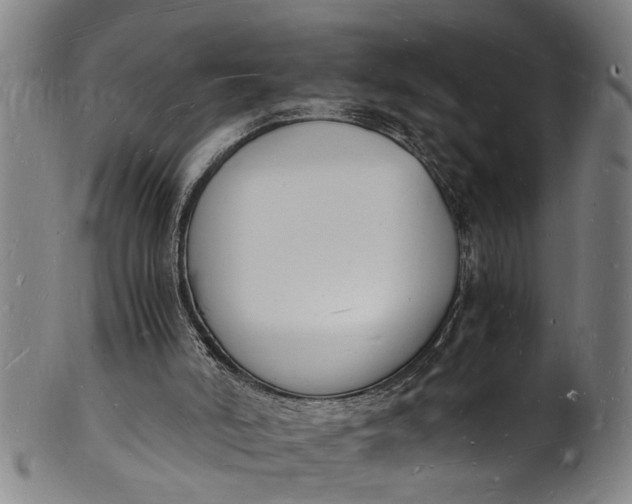 X0000101670006200807241451