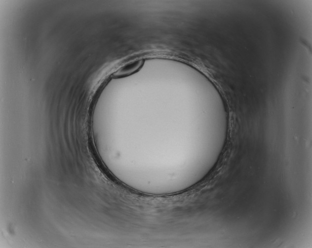X0000101670007200807241451