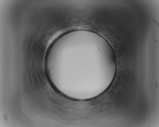 X0000101670008200807241451