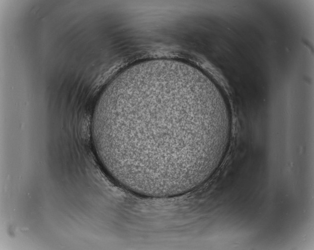 X0000101670009200807241451