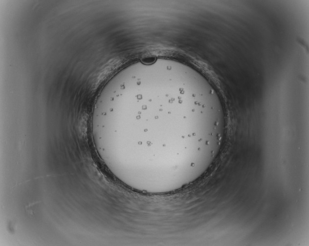 X0000101670010200807241451