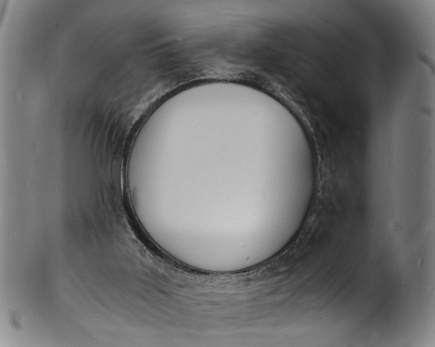 X0000101670011200807241451