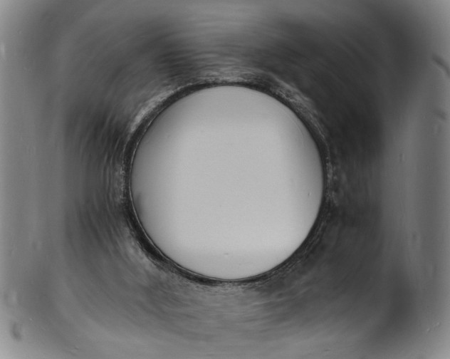 X0000101670012200807241451