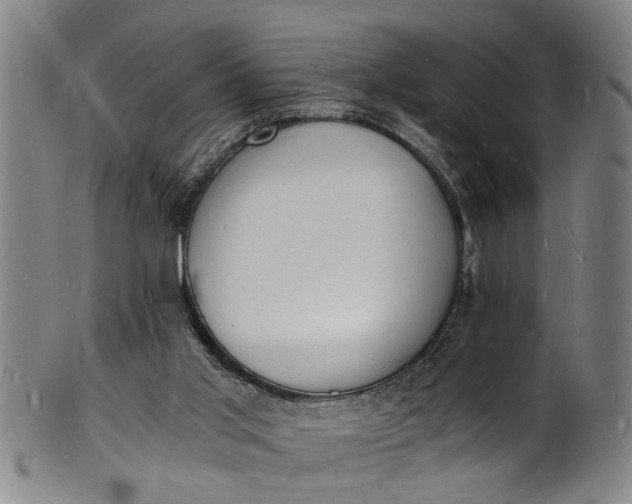 X0000101670013200807241451