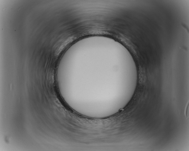 X0000101670015200807241451