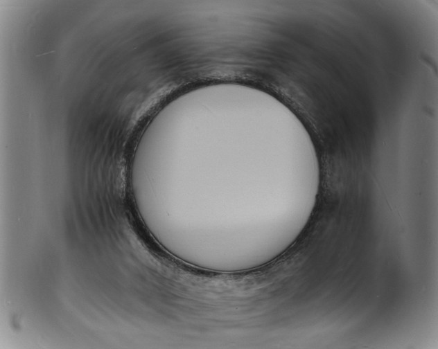 X0000101670016200807241451