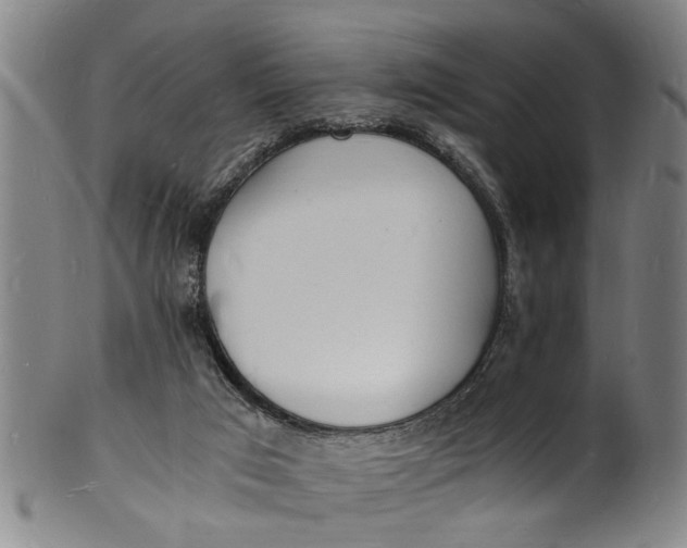 X0000101670017200807241451