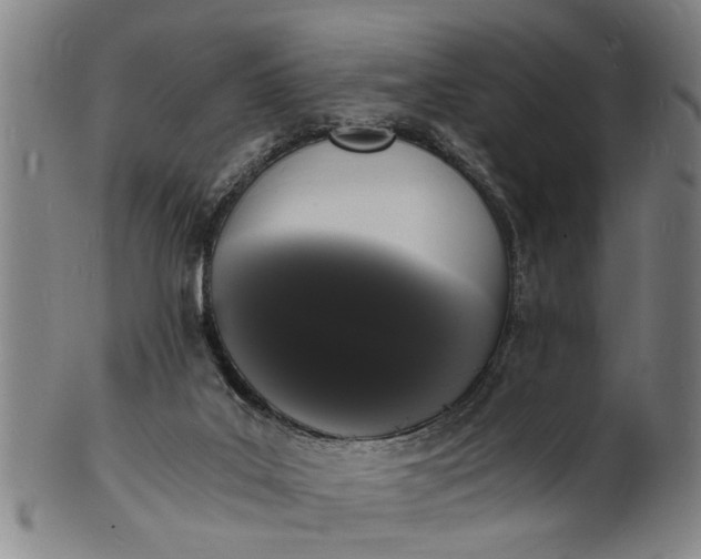 X0000101670019200807241451