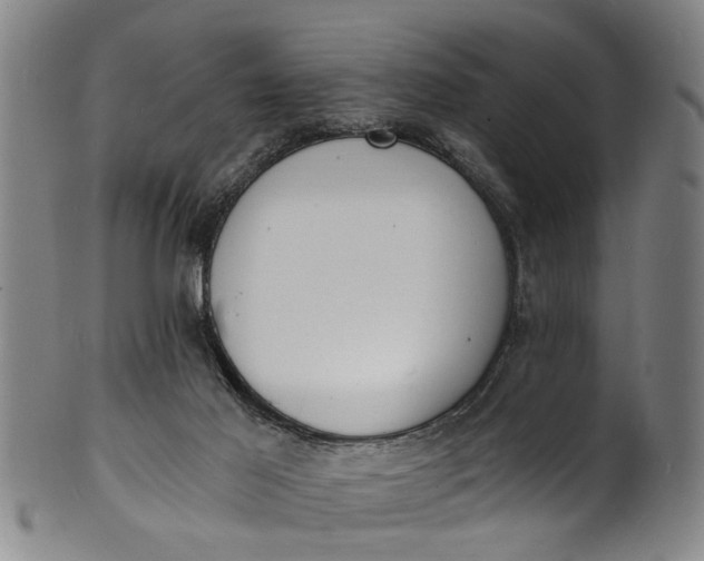 X0000101670021200807241451