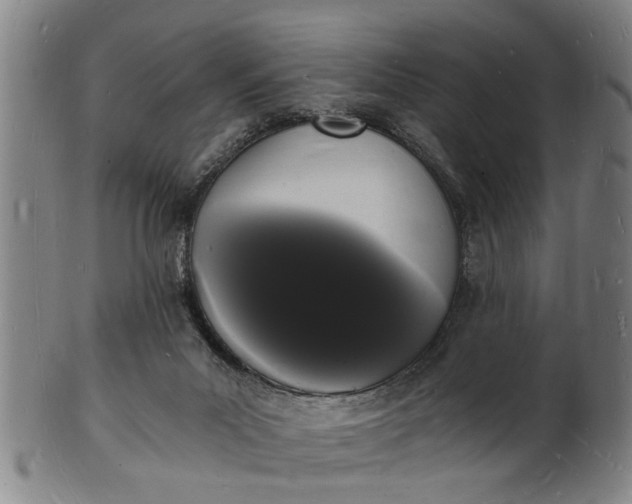 X0000101670023200807241451