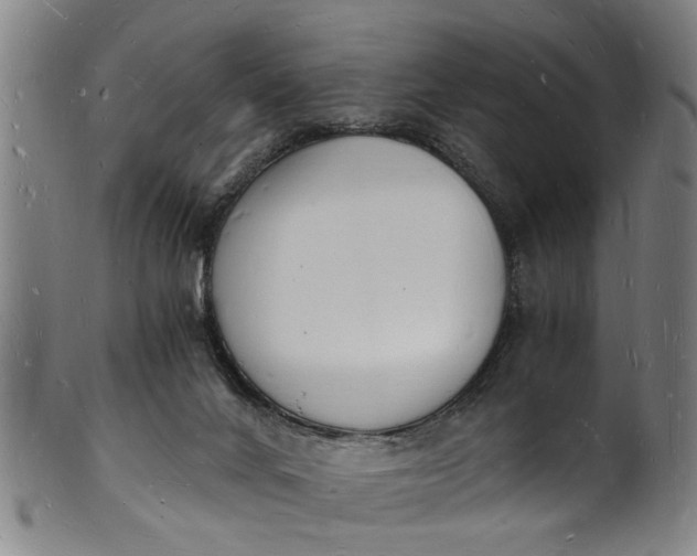 X0000101670024200807241451