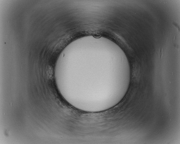 X0000101670025200807241451