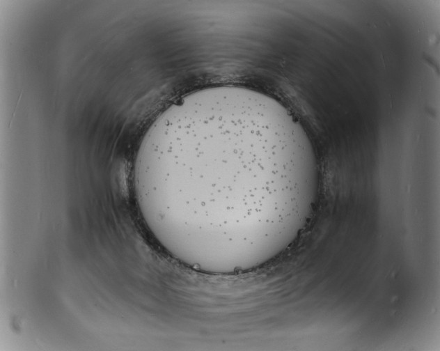 X0000101670026200807241451