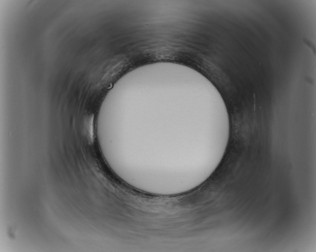 X0000101670028200807241451