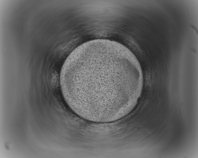X0000101670029200807241451