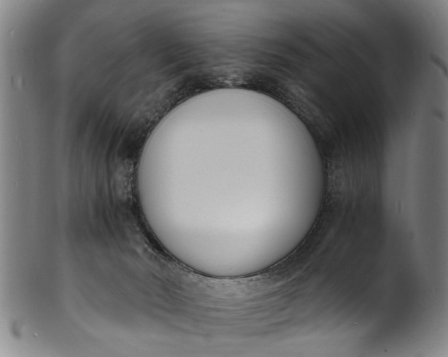 X0000101670030200807241451