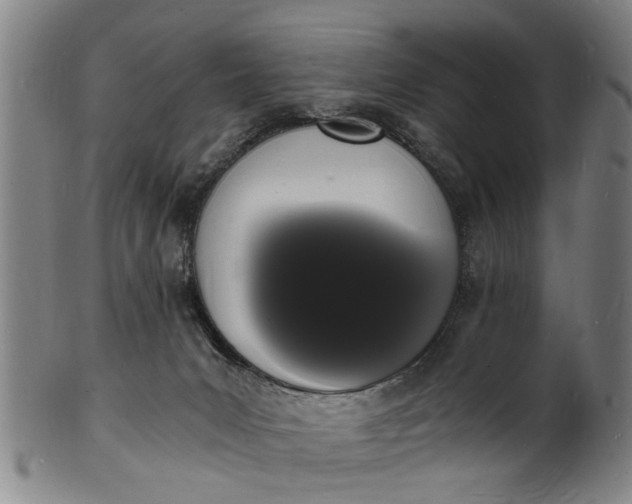 X0000101670031200807241451