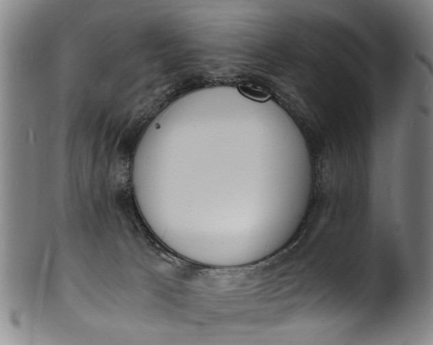 X0000101670033200807241451