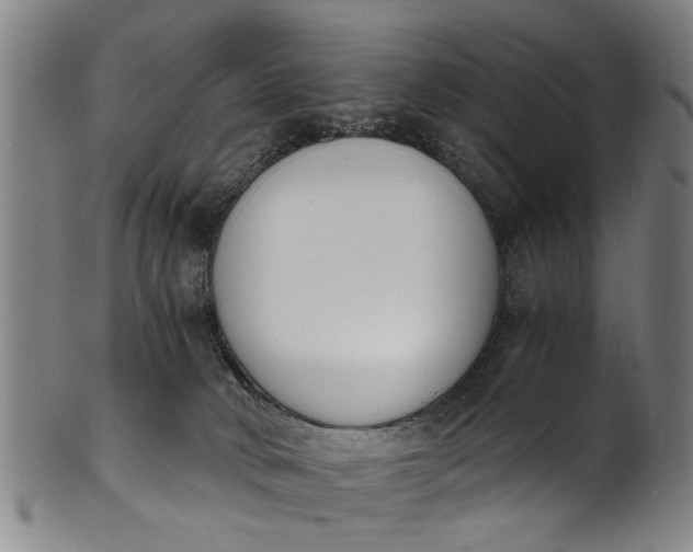 X0000101670034200807241451