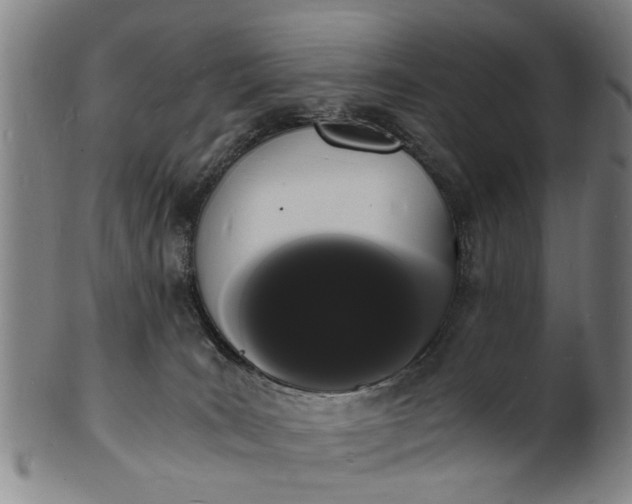 X0000101670035200807241451