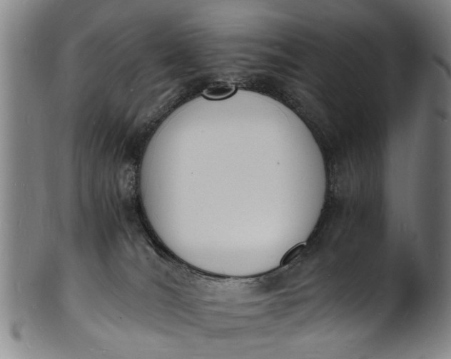 X0000101670036200807241451