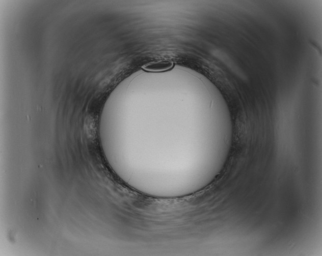 X0000101670037200807241451