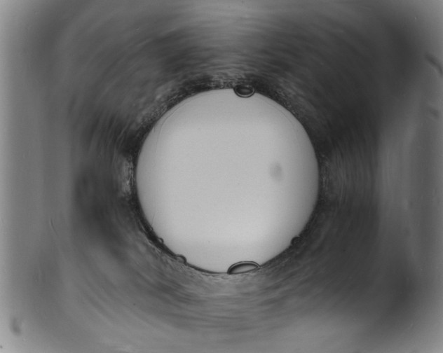 X0000101670038200807241451