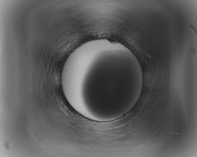 X0000101670039200807241451