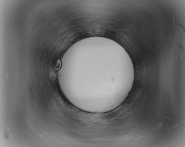 X0000101670040200807241451