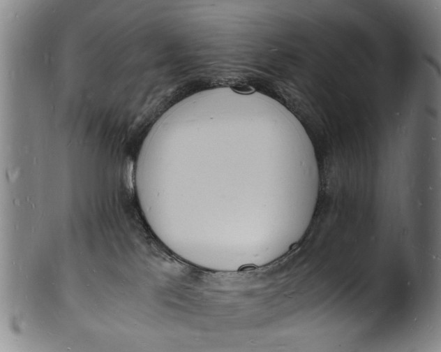 X0000101670041200807241451