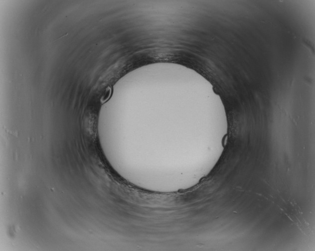 X0000101670044200807241451