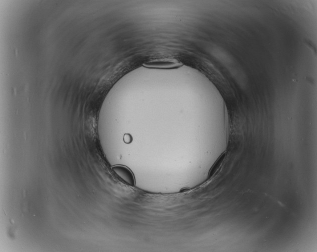 X0000101670045200807241451