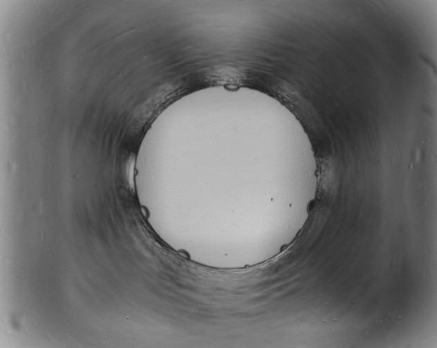 X0000101670047200807241450